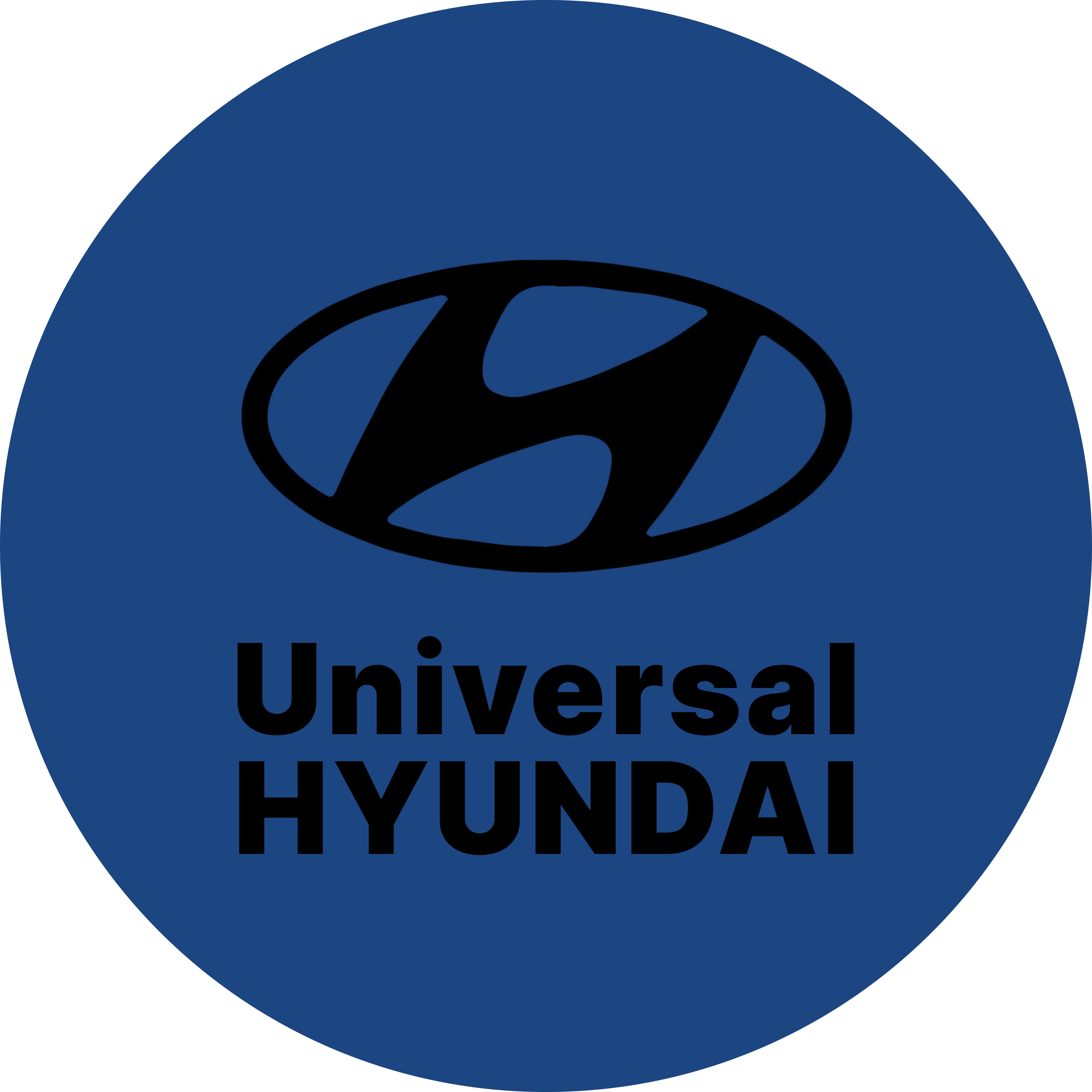 Universal Hyundai